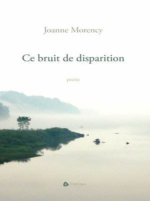 cover image of Ce bruit de disparition